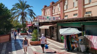 GC-CC Jardin del Sol (Pl Ingles) 2026-22.jpg